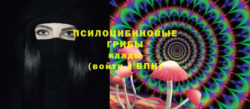 Галлюциногенные грибы Psilocybe  Зеленодольск 